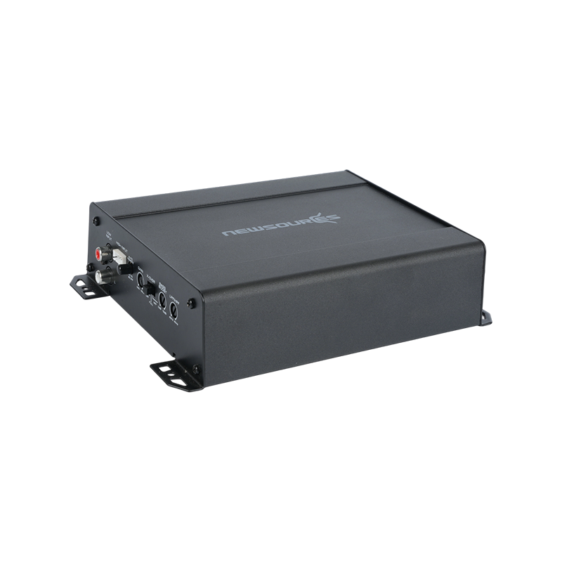 2 Channel Class D Amplifier