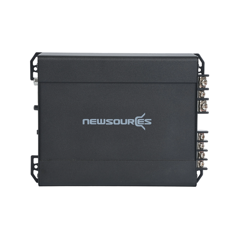 2 Channel Class D Amplifier